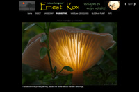 Ernest Kox