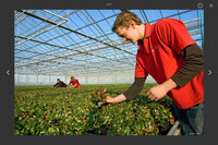 Kees van Berkesteijn